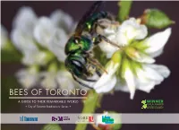 Bees of Toronto: a Guide to Their Remarkable World