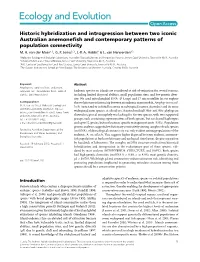 Historic Hybridization and Introgression Between Two Iconic Australian Anemoneﬁsh and Contemporary Patterns of Population Connectivity M