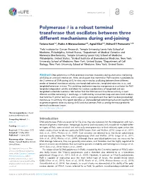Polymerase Is a Robust Terminal Transferase That Oscillates Between