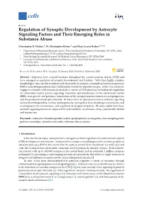 Regulation of Synaptic Development by Astrocyte Signaling Factors and Their Emerging Roles in Substance Abuse