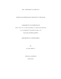 The University of Chicago Power and Freedom in the Space of Reasons a Dissertation Submitted to the Faculty of the Division O