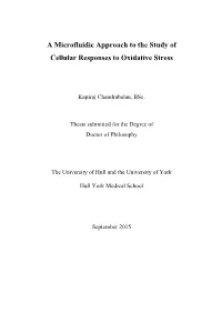 A Microfluidic Approach to the Study of Cellular Responses to Oxidative Stress