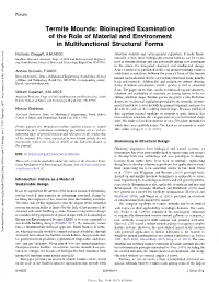 Termite Mounds: Bioinspired Examination of the Role of Material and Environment in Multifunctional Structural Forms