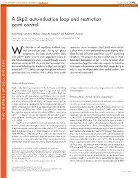 A Skp2 Autoinduction Loop and Restriction Point Control