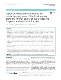 Digital Anatomical Measurements and Crucial Bending Areas of the Fixation