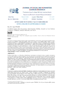 Full Text (PDF)