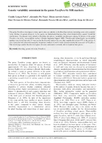 Genetic Variability Assessment in the Genus Passiflora by SSR Markers