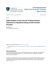 Spatial Analyses of Gray Fossil Site Vertebrate Remains: Implications for Depositional Setting and Site Formation Processes