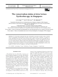 The Conservation Status of Slow Lorises Nycticebus Spp. in Singapore