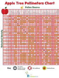Apple Tree Pollinators Chart