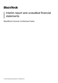 Interim Report and Unaudited Financial Statements