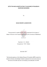 Langenhoven Detection 2017.Pdf