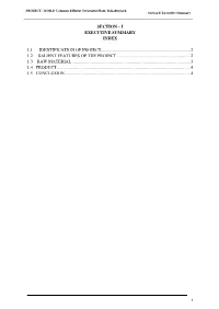 Section I/ Executive Summary