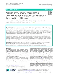 Analysis of the Coding Sequences of Clownfish Reveals Molecular