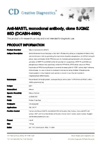 Anti-MASTL Monoclonal Antibody, Clone SJQMZ 85D (DCABH-4990) This Product Is for Research Use Only and Is Not Intended for Diagnostic Use