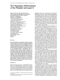 Tbr1 Regulates Differentiation of the Preplate and Layer 6