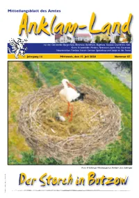 Amtsblatt Juli 2020