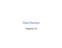 Gene Function