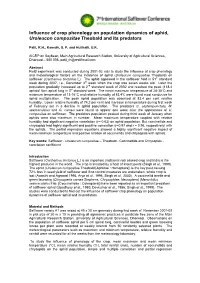 Influence of Crop Phenology on Population Dynamics of Aphid, Uroleucon Compositae Theobald and Its Predators