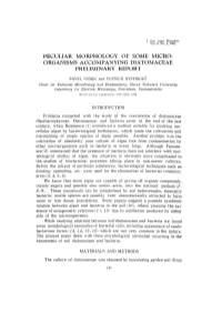 Peculiar Morphology of Some Micro- Organisms Accompanying Diatomaceae Preliminary Report