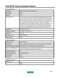Primepcr™Assay Validation Report