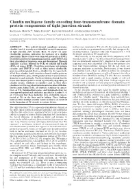 Claudin Multigene Family Encoding Four-Transmembrane Domain Protein Components of Tight Junction Strands
