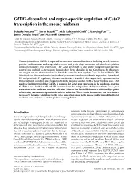 GATA2-Dependent and Region-Specific Regulation of Gata2