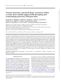 Genetic Structure and Shell Shape Variation Within a Rocky Shore Whelk Suggest Both Diverging and Constraining Selection with Gene Flow