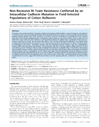 Non-Recessive Bt Toxin Resistance Conferred by an Intracellular Cadherin Mutation in Field-Selected Populations of Cotton Bollworm