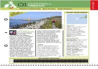 Tresco Is a Place of Delightful Archipelago, the Island of FEATURE