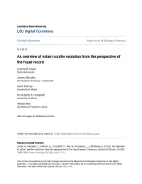 An Overview of Extant Conifer Evolution from the Perspective of the Fossil Record