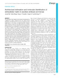 Architectural Delineation and Molecular Identification Of