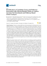Identification of Candidate Genes and Pathways Associated with Obesity