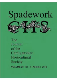Spadework Aut 15