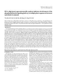 DNA Chip-Based Expression Profile Analysis Indicates Involvement Of
