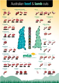Australian Beef and Lamb Cuts Chart