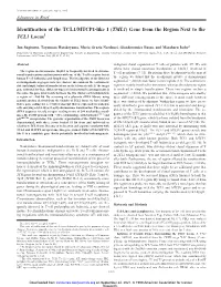 Identification of the TCL1/MTCP1-Like 1 (TML1) Gene from the Region Next to the TCL1 Locus1