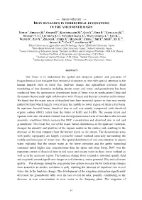 Iron Dynamics in Terrestrial Ecosystems in the Amur River Basin