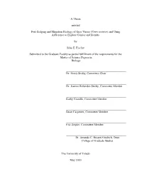 A Thesis Entitled Post-Fledging and Migration Ecology of Gray Vireos