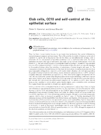 Club Cells, CC10 and Self-Control at the Epithelial Surface