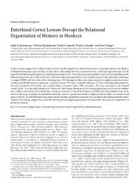 Entorhinal Cortex Lesions Disrupt the Relational Organization of Memory in Monkeys