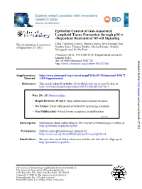 Epithelial Control of Gut-Associated Lymphoid Tissue Formation Through P38α-Dependent Restraint of NF-Κb Signaling