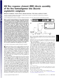 HIV Rev Response Element (RRE) Directs Assembly of the Rev Homooligomer Into Discrete Asymmetric Complexes