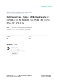 Biomechanical Model of the Human Foot: Kinematics and Kinetics During the Stance Phase of Walking