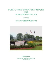 Public Tree Inventory Report and Management Plan