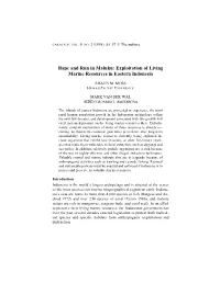 Rape and Run in Maluku: Exploitation of Living Marine Resources in Eastern Indonesia