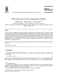 Some Large-Scale Matrix Computation Problems