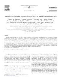 An Anthropoid-Specific Segmental Duplication on Human Chromosome 1Q22