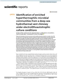 Identification of Enriched Hyperthermophilic Microbial