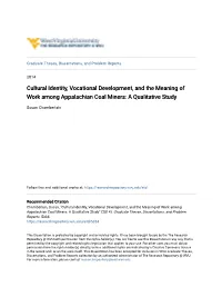Cultural Identity, Vocational Development, and the Meaning of Work Among Appalachian Coal Miners: a Qualitative Study